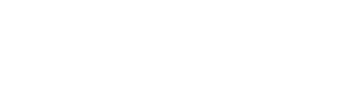 Duntze Security